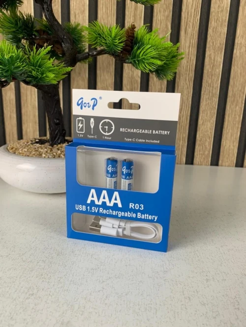 Piles Lithium Rechargeables Type-C  1.2V 800mAh (2PCS)