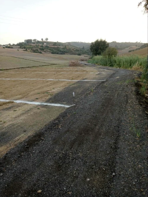 Vente Terrain Boumerdès Corso