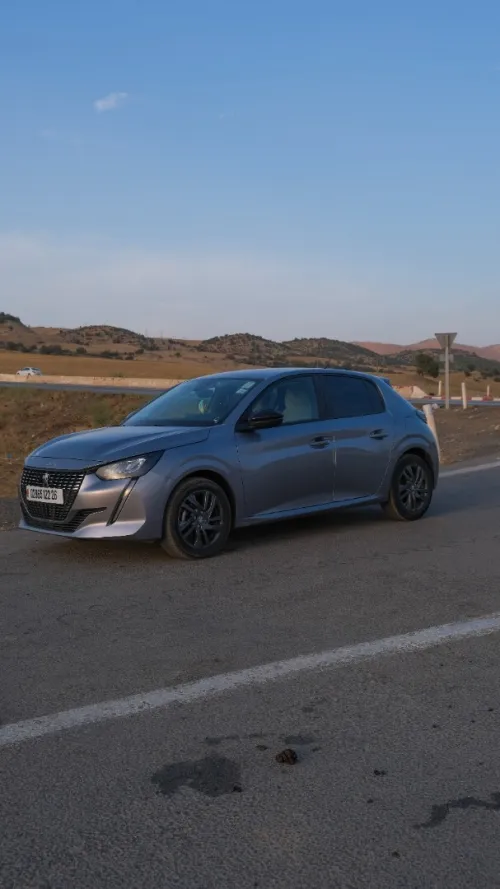 Peugeot 208 2022 Style