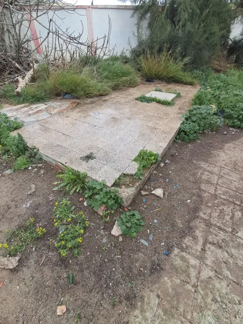 Vente Local Guelma Guelma