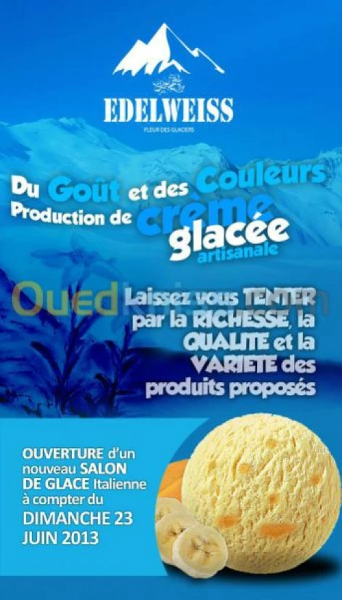 Production et vente glaces artisanales