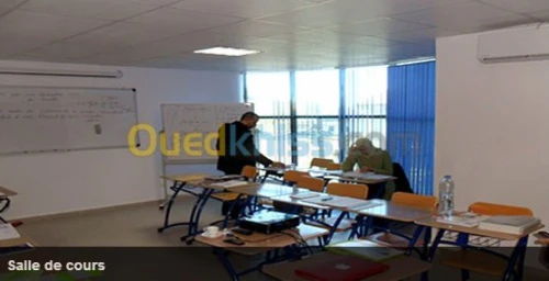 Formation Master, DEES, BTS et Anglais