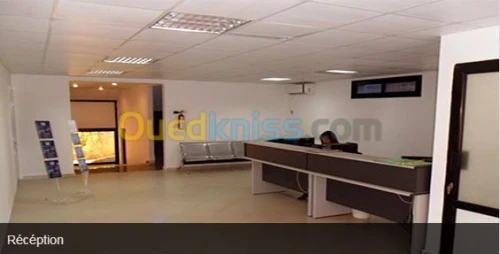 Formation Master, DEES, BTS et Anglais