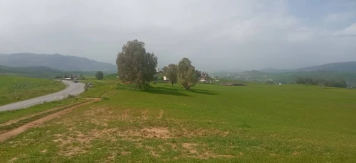Vente Terrain Agricole Tizi Ouzou Tizi ouzou
