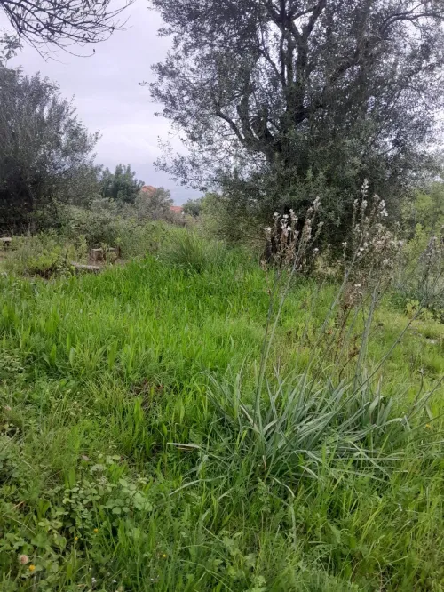 Vente Terrain Tizi Ouzou Freha