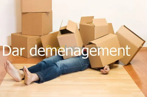 DÉMÉNAGEMENT TRANSPORT LIVRAISON & MANUTENTIONS