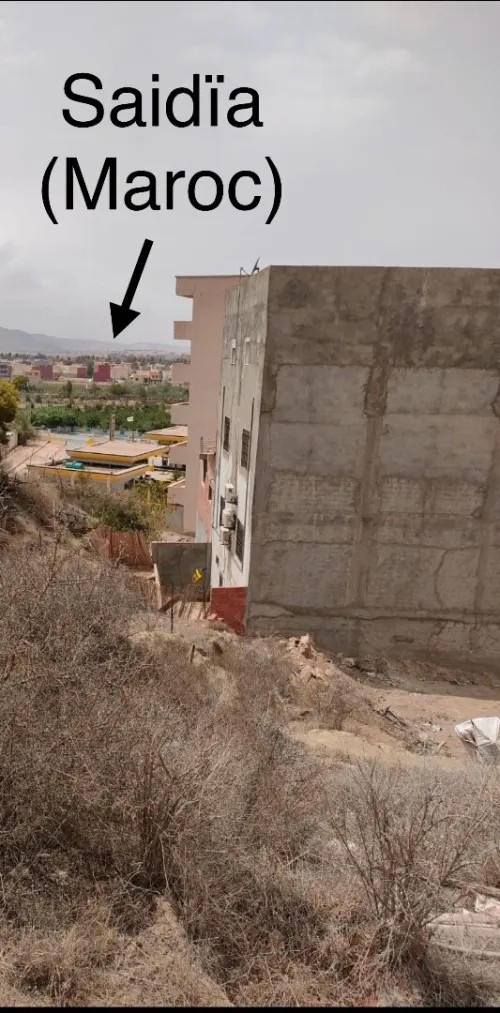 Vente Terrain Tlemcen Marsa ben mhidi
