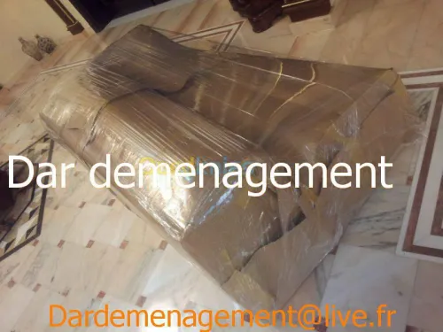 DEMENAGEMENT TRANSPORT & MANUTENTION 