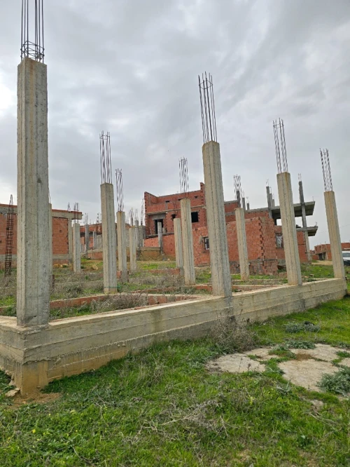 Vente Terrain Blida Ain romana