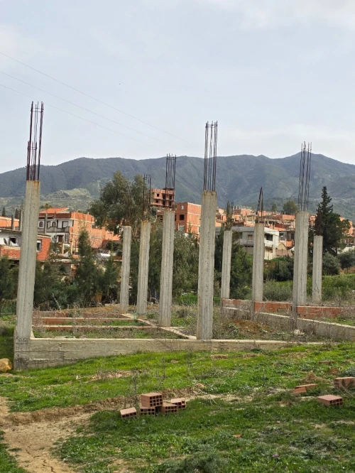 Vente Terrain Blida Ain romana