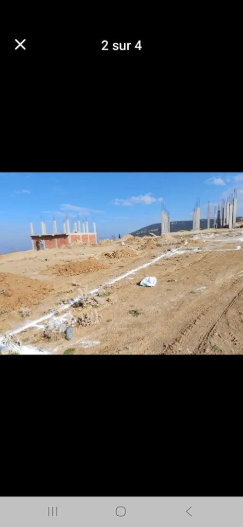 Vente Terrain Blida Ain romana