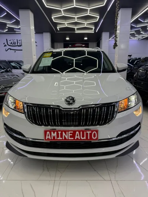 Skoda Karoq 2025 luxury