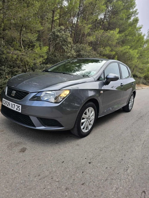 Seat Ibiza 2017 Sol