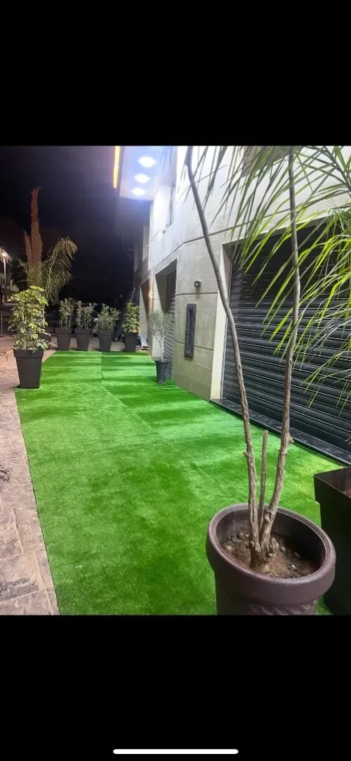 Location Local Oran Bir el djir