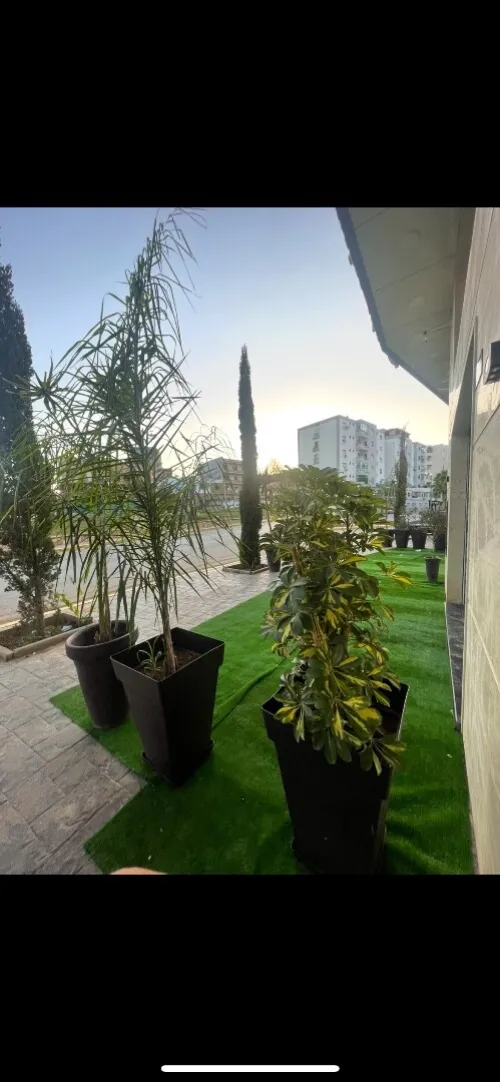 Location Local Oran Bir el djir