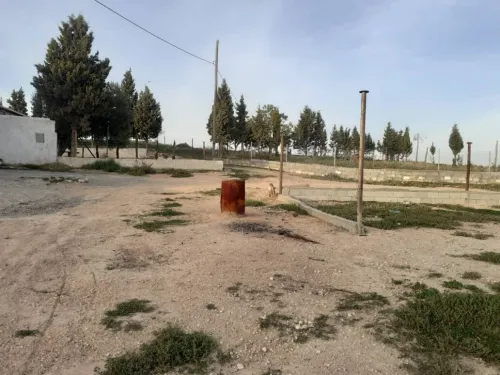 Vente Terrain Agricole Sétif Guidjel