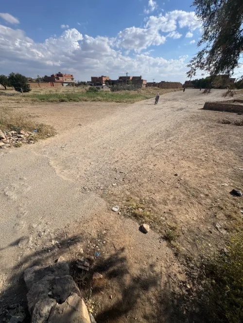 Vente Terrain Tiaret Ain deheb