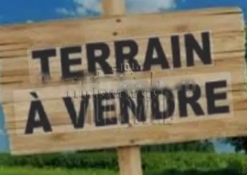 Vente Terrain Alger Ouled fayet