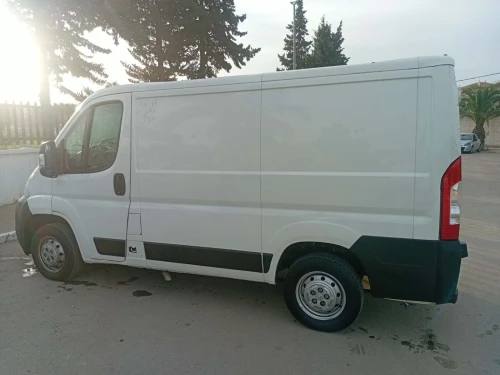 Peugeot Boxer caniche 