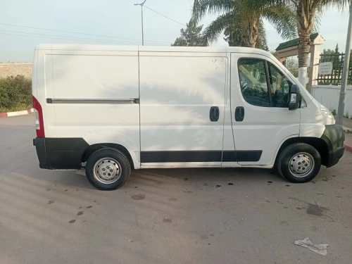 Peugeot Boxer caniche 
