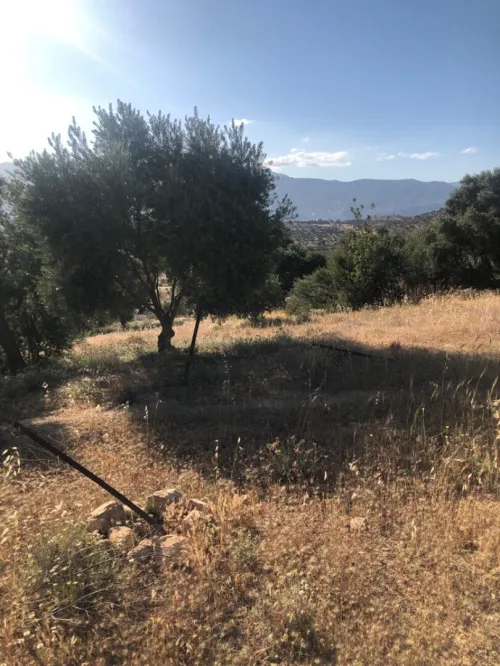 Vente Terrain Béjaïa Seddouk