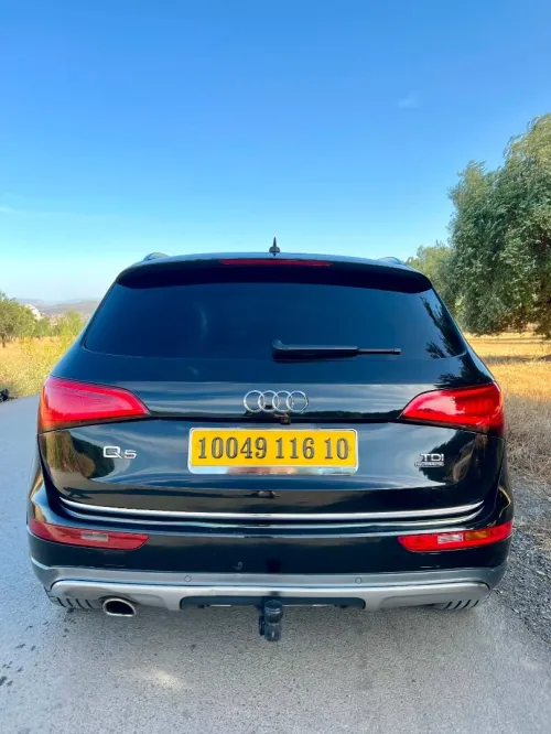 Audi Q5 2016 Off Road
