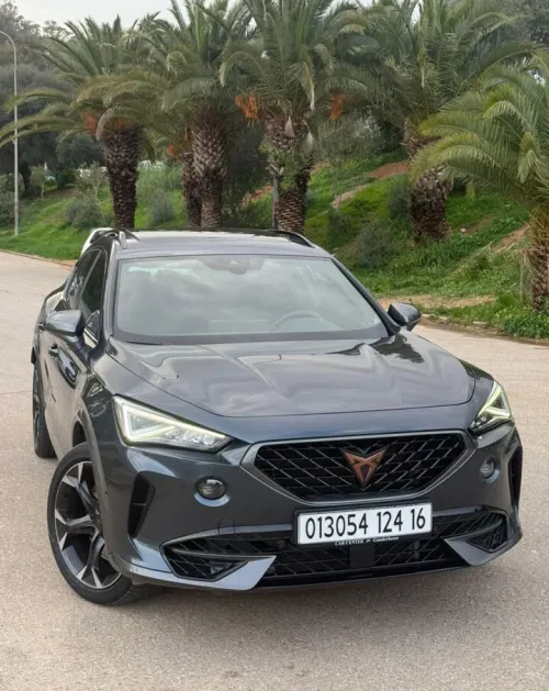 Cupra  Ateca 2024 VZ Tribe Edition