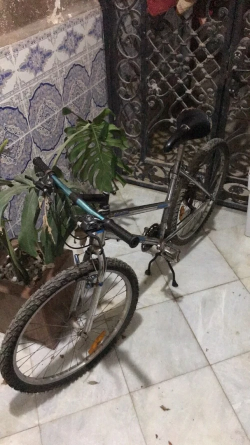 Vélo très bonne occasion 