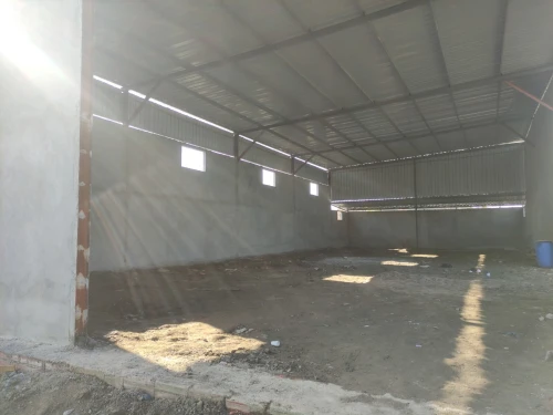 Location Hangar - Usine Alger Les eucalyptus