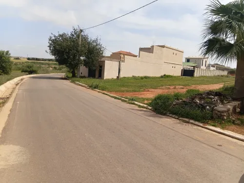 Vente Terrain Mostaganem Hadjadj