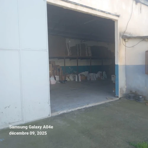 Vente Terrain Blida Ben khellil