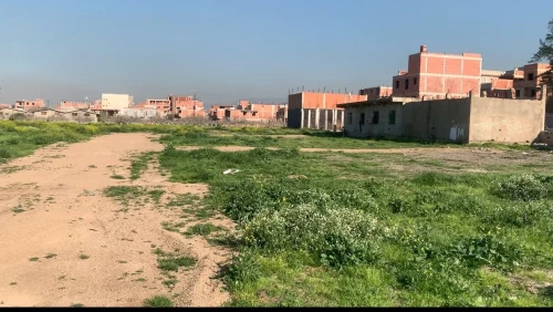 Vente Terrain Blida Ouled selama