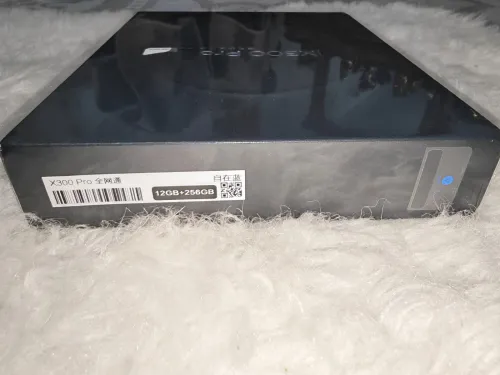 Vivo X300 pro