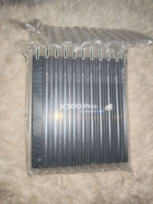 Vivo X300 pro