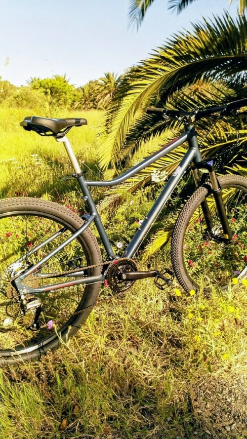 VTT 29" Pouces Cadre Taille L Roues 29x2.25