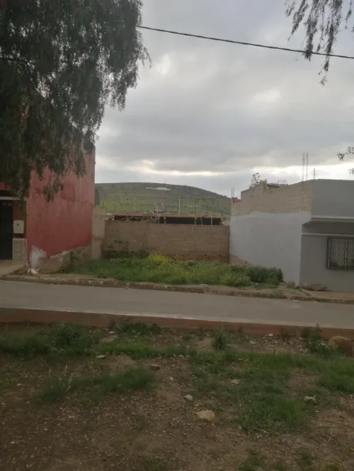 Vente Terrain Aïn Témouchent Ain kihal