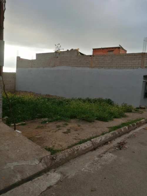 Vente Terrain Aïn Témouchent Ain kihal