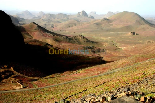 prise de vues, reportage, photos