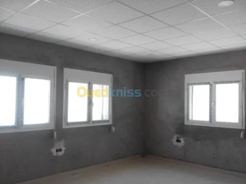 menuiserie aluminium et faux plafond  
