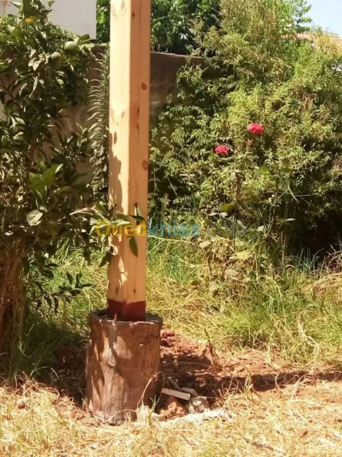 charpente en bois toiture poses tuiles