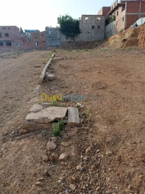 Vente Terrain Tipaza Kolea