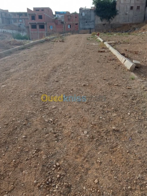 Vente Terrain Tipaza Kolea