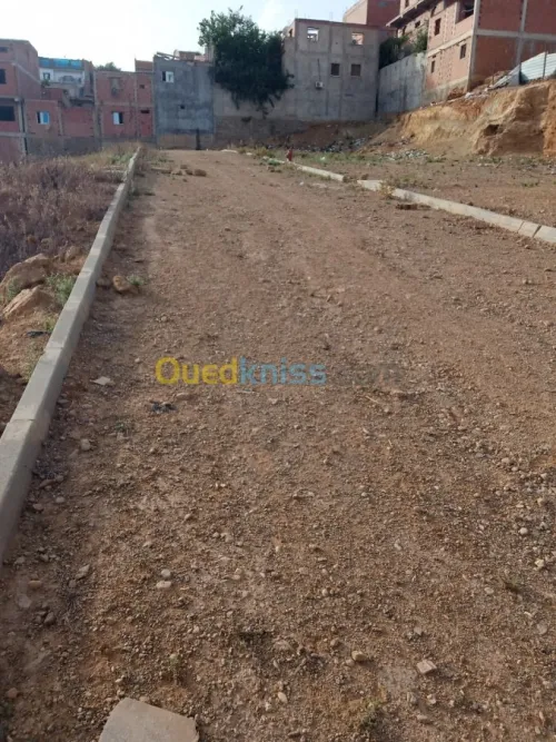 Vente Terrain Tipaza Kolea