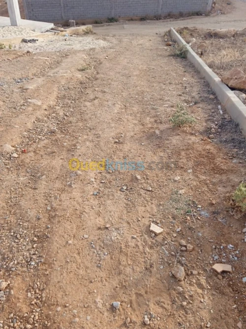 Vente Terrain Tipaza Kolea