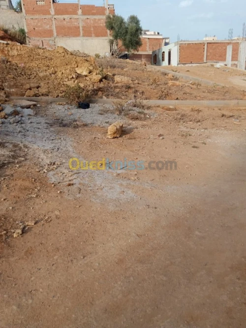 Vente Terrain Tipaza Kolea