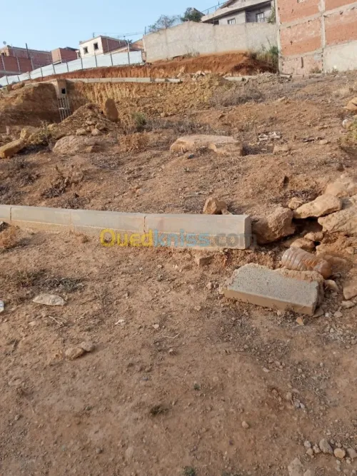 Vente Terrain Tipaza Kolea