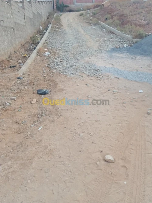 Vente Terrain Tipaza Kolea