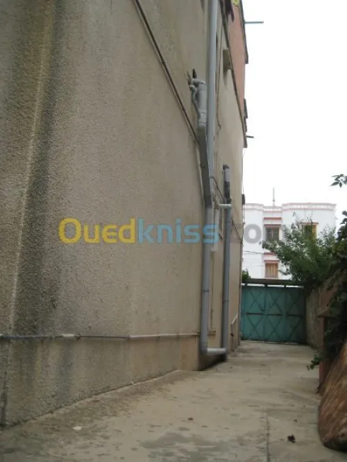 Vente Villa El taref El kala