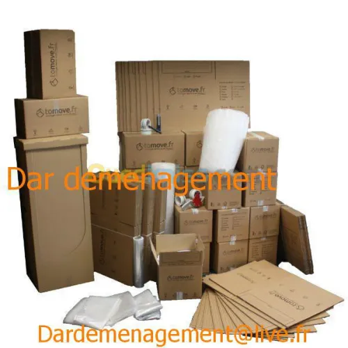 DEMENAGEMENT- TRANSPORT - MANUTENTION