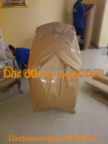 DEMENAGEMENT- TRANSPORT - MANUTENTION